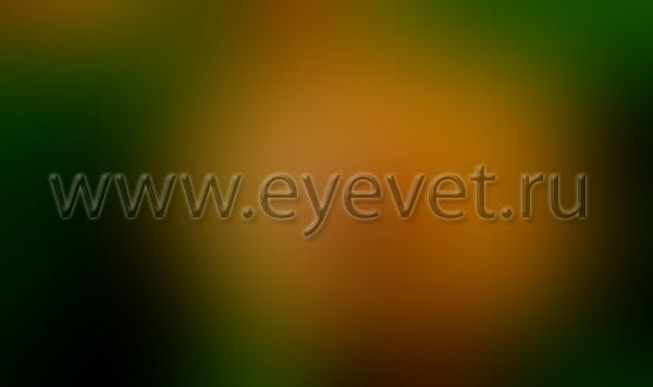 При катаракте острота зрения снижается до слепоты