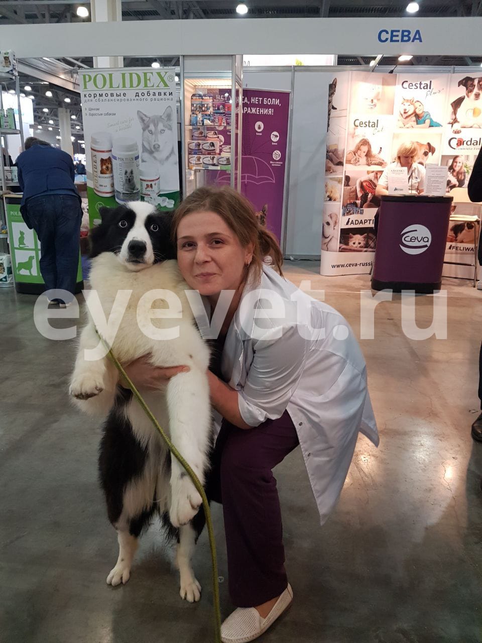 Наши врачи два дня бесплатно консультировали и обследовали собак на выставке «Евразия»