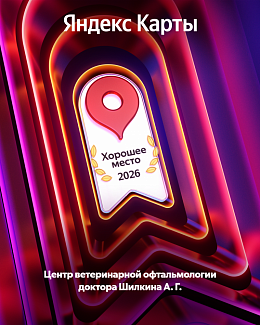 Мы получили награду «Яндекс Хорошее место»