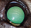 Глаз йокширского терьера 5 лет с эпителиально –эндотелиальной дистрофией и бельмом роговицы до и после кросслинкинга. Бельмо роговицы рассосалось практически полностью.