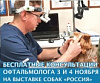 Бесплатные консультации офтальмолога 3 и 4 ноября на выставке собак «Россия 2018»